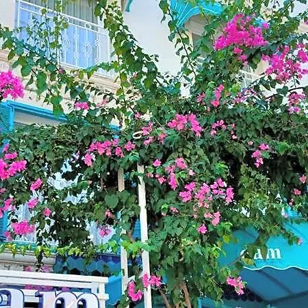 Yazar Lara Hotel